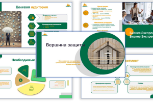 Образец работы, для агентства страхования