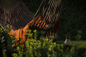 Визуализация экстерьера