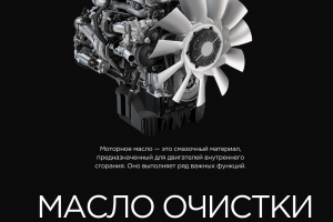 Мое портфолио