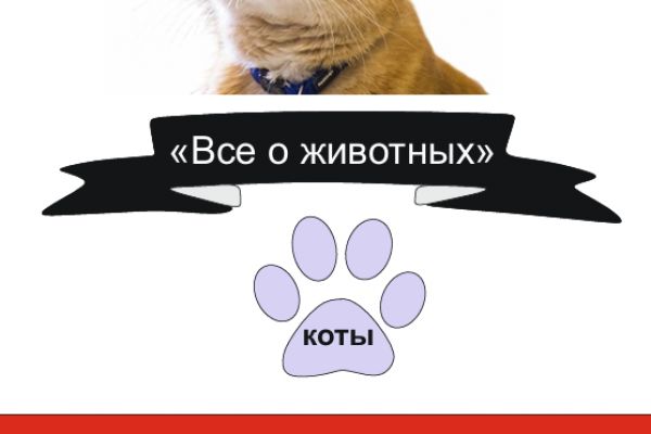 Дизайн Брошюра