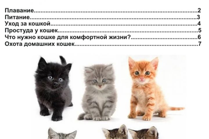 Дизайн Брошюра - 5513272