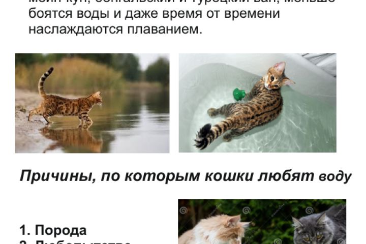 Дизайн Брошюра - 5513273