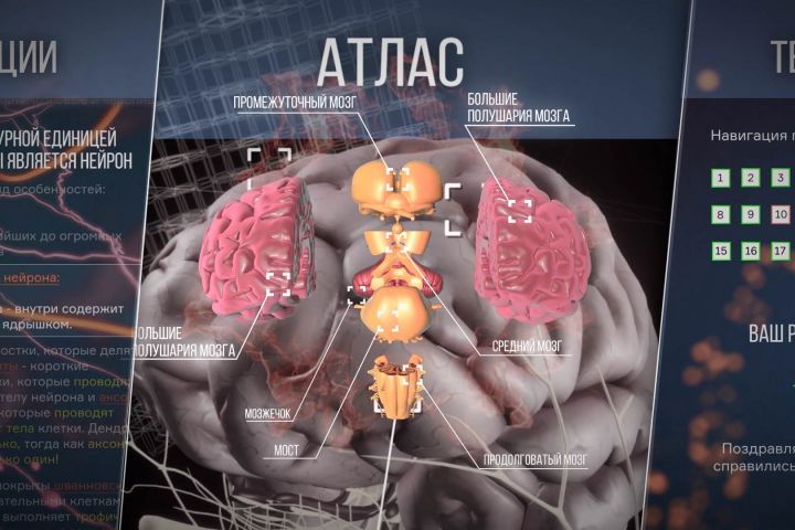 Видео-ролики под ключ - 5514362