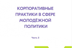Корпоративные практики в сфере молодежной политики