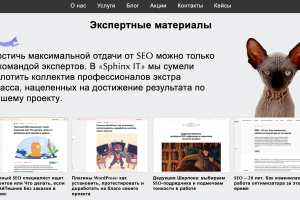 Сайт агентства