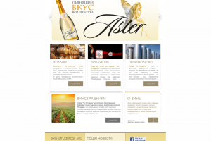 Разработка интернет сайта. Прорисовка макета.