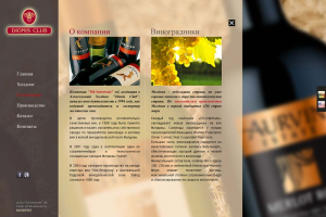 Разработка интернет сайта. Прорисовка макета.