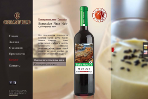 Разработка интернет сайта. Прорисовка макета.