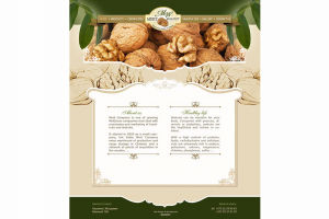 Разработка интернет сайта. Прорисовка макета.