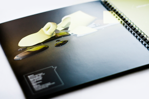 Печатный дом «Магистраль»