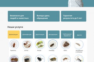 Сайт для компании по оказанию услуг
