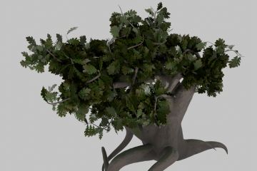 Game-Ready Stylized Tree 3d model