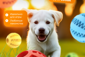 инфографика игрушка для собак