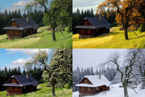 смена времён года