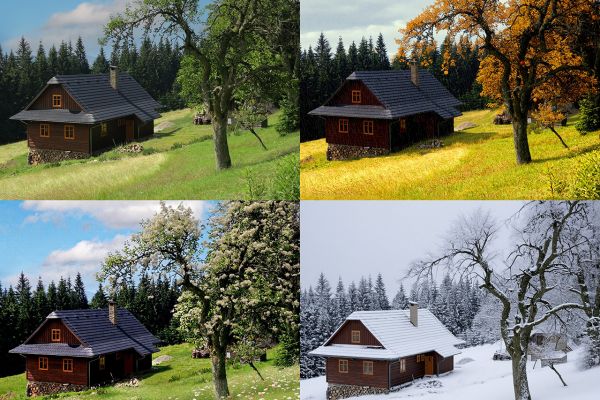 смена времён года