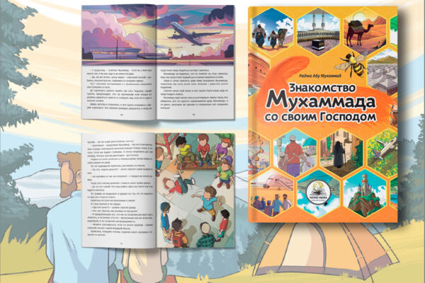 Иллюстрация и верстка