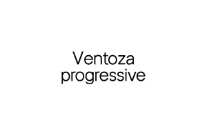 Личный шрифт Ventoza Progressive