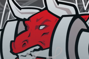 Логотип Бык