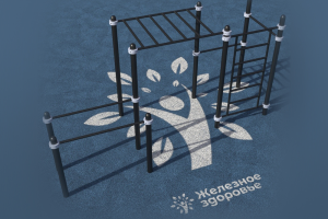 Логотип Железное здоровье