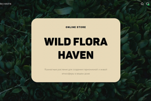 Интернет-магазин комнатных растений