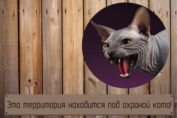 Необычные таблички