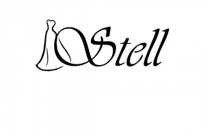 Логотип магазина женской одежды