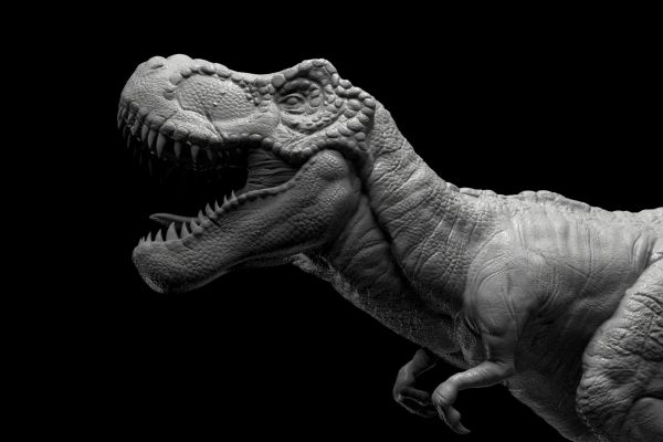 3D модель тиранозавра