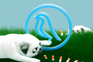 Разработка и дизайн корпоративного сайта ветеринарной клиники Синица