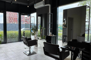 Васту дизайн-проект для студии колористики в г.Тюмени