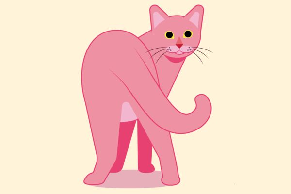 pinkcat_annavector.png