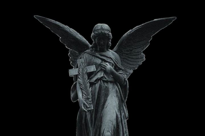 монтаж видео (reels and youtube)