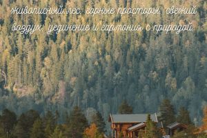 Лесные Альпы