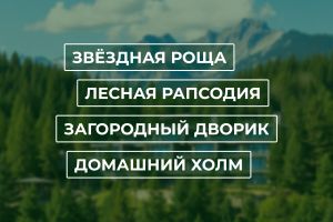 Нэйминг Посёлка 3