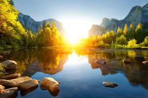 Тихая гаань