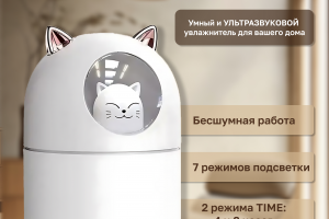 Инфографика