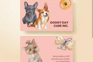 Визитка для магазина одежды для собак