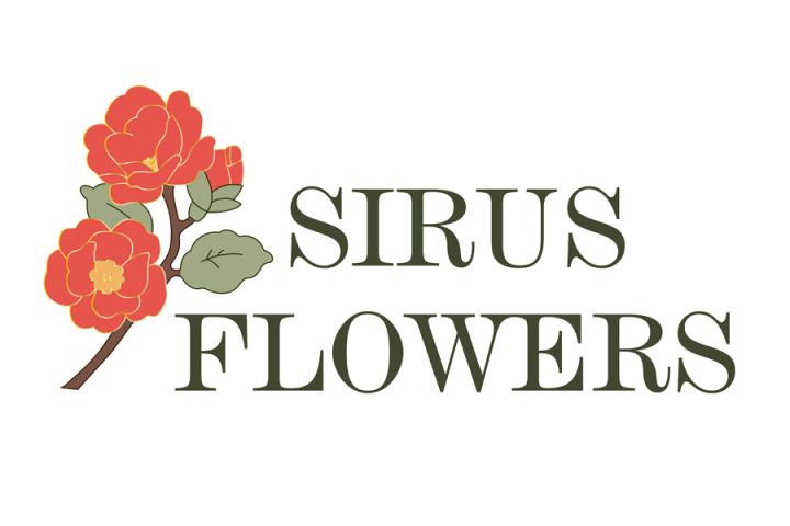 Создание логотипа - 5529268