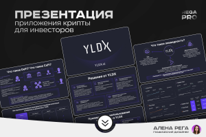 Презентация для инвесторов