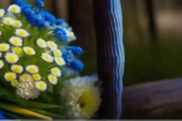 Создание анимационных видеоклипов на песни под ключ - 5529727