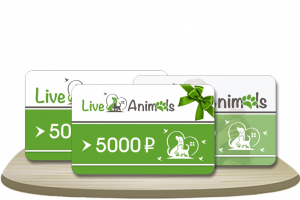 Сертификаты