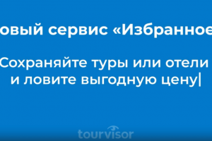 Анимация для Torvisor