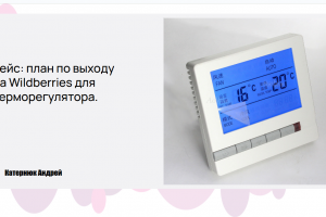 План выхода товара на Wildberries. Товар-терморегулятор.
