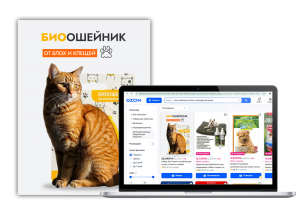 Дизайн-карта успеха: интеграция товаров Wildberries, Ozon и Behance в вашей презентации