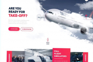 Школа обучения полетов на симуляторе