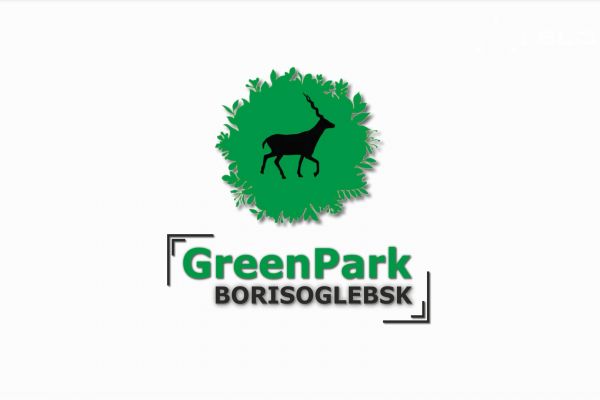 Видеозаставка для главной страницы