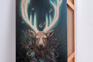 Северное сияние