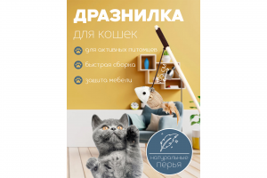 Инфографика "Дразнилка для кошек"