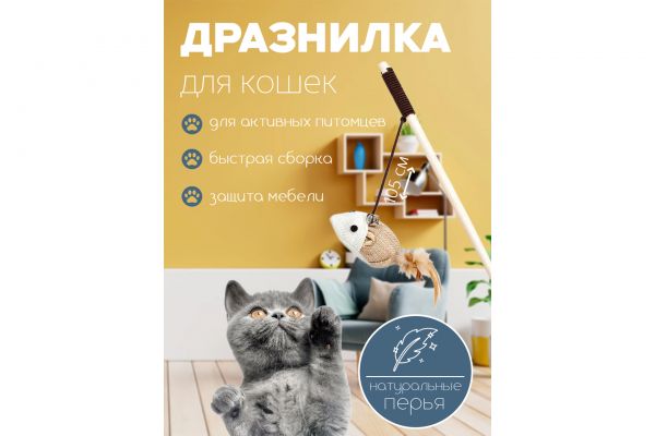 Инфографика "Дразнилка для кошек"