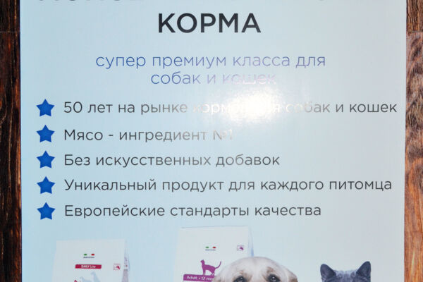 Разработка дизайна плакатов