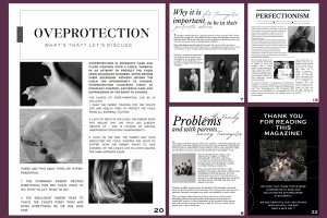 Дизайн журнала Y&M